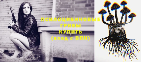 герыч Алексин